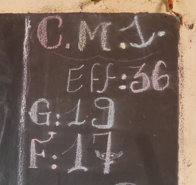 parité garçon-fille dans la classe de CM1